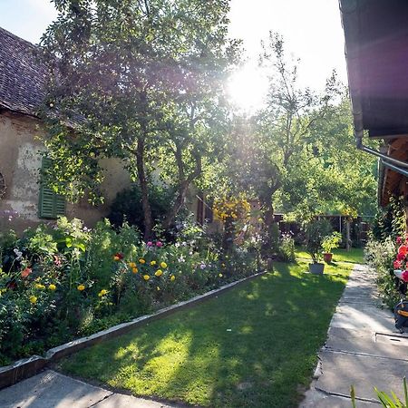 Villa Rihuini Eco Wine House Transylvania Richisu Exterior photo