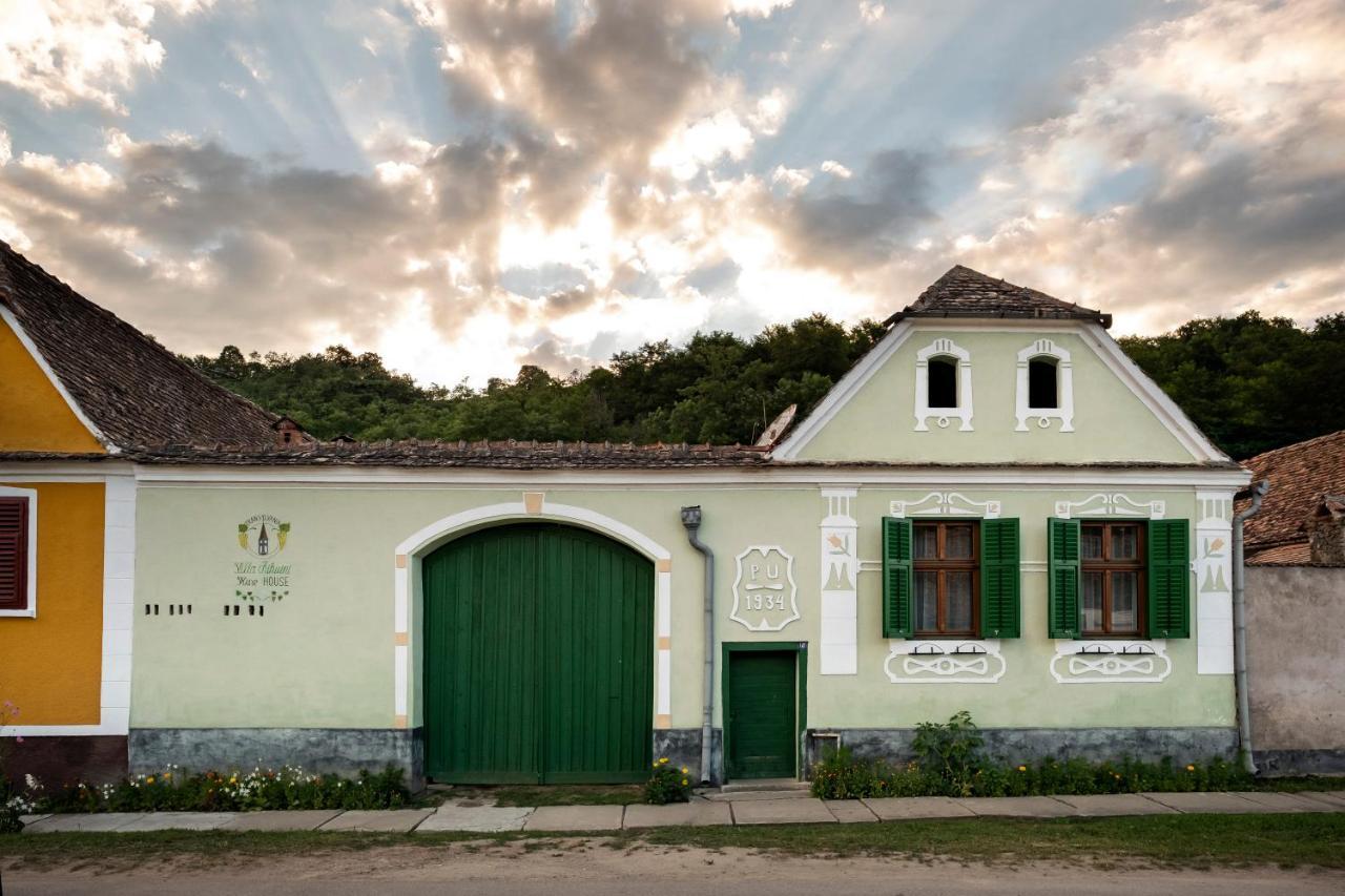 Villa Rihuini Eco Wine House Transylvania Richisu Exterior photo