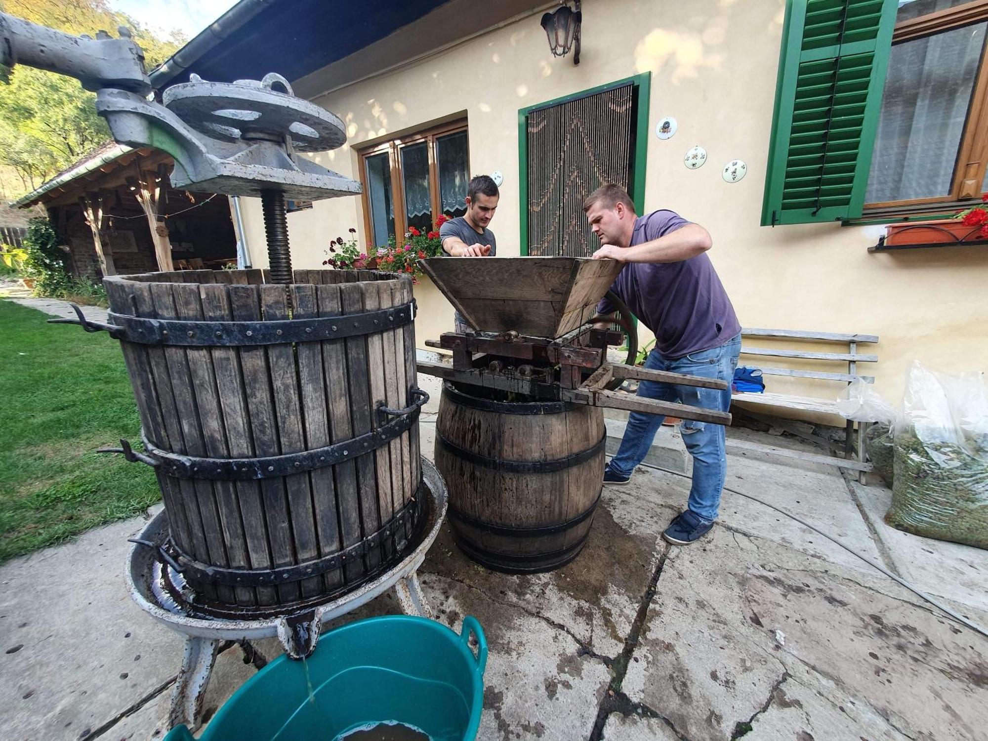 Villa Rihuini Eco Wine House Transylvania Richisu Exterior photo